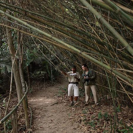 Tanjong Jara Resort, Terengganu - A Small Luxury Hotels Of The World Дунгун Екстериор снимка Bamboo forest in the park